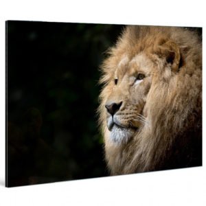 Direct Print On Aluminum Dibond