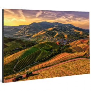 Lambda Print on Fuji Crystal DP ||